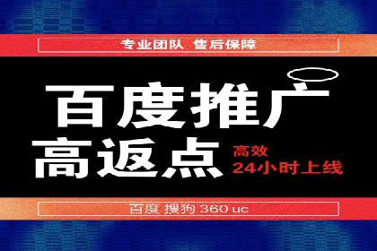 百度竞价包年推广效果：行业领先企业的成功之道